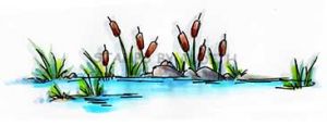 O-140-HK Pond